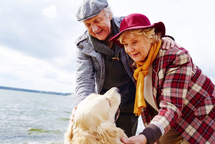 Keeping loved ones safe and entertained - Portland fall senior elder care autumn